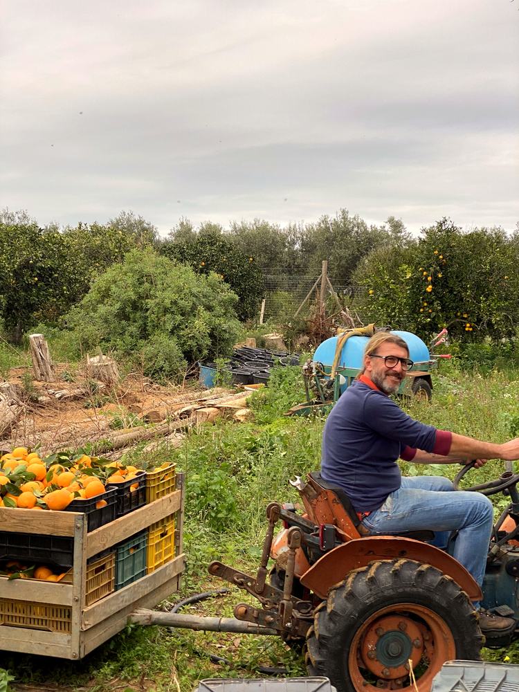Emilio on the tractor during the harvest